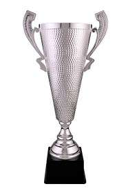 Cupe Sportive LX 017